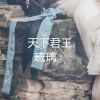 Download track 天下君王 (伴奏)