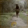 Download track Rizes (Extended)