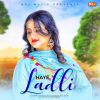 Download track Haye Ladli