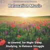 Download track Relaxation Music, Pt. 54