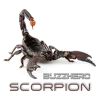 Download track Scorpion (Edit Mix)