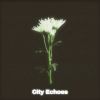 Download track City Echoes