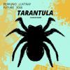 Download track Tarantula (Alternative Club Edit)