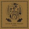 Download track Luck In The Valley