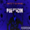 Download track Politicin