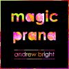 Download track Magic Prana (Radio Edit)