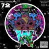 Download track Wachufleiva 72-1 (Bongo Beat Remix)