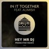 Download track Hey Mr DJ (Freiboitar Extended Remix)