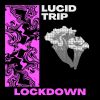 Download track Lockdown (Radio Edit)