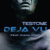 Download track Deja Vu (Extende)