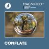 Download track Magnified