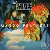 Download track Mango Feathers (Original Mix)