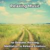 Download track Relaxing Music, Pt. 23