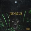 Download track Jungle