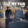 Download track Feel My Pain
