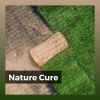 Download track Nature Is The Only Master