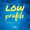 Download track Low Profile (Instrumental)