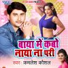 Download track Baya Me Kabo Naya Na Pari