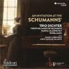 Download track Schumann Kinderszenen, Op. 15 No. 13, Der Dichter Spricht (Arr. For Violin, Cello And Piano By Trio Dichter)