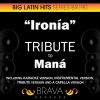 Download track Ironia (In The Style Of Mana) [Acapella Version]