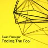 Download track Fooling The Fool