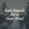 Download track Thundering Rain For Peaceful Reading, Pt. 10