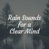 Download track Thundering Rain For Peaceful Reading, Pt. 3