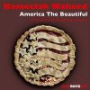 Download track America The Beautiful (North Street West Vocal Remix)