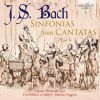 Download track Sinfonia From Cantata BWV 174 Ich Liebe Den Höchsten Von Ganzem Gemüte