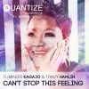 Download track Can't Stop This Feeling (Instrumental Mix)