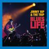 Download track (Livin' In A) Bad Blues World