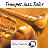 Download track Trumpet Jazz Relax (Surround Music)