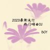 Download track 2023最新流行热门嗨曲DJ