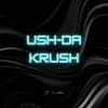 Download track USH-DA KRUSH (Slowed And Reverb)