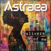 Download track Slivers Of Me