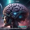 Download track Boltzmann Brain