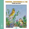 Download track Roselin A Ailes Roses Chants De Male (Crimson Winged Finch)