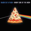 Download track Kitties In Space (Everyone Is Stupid Besides Bryan Dickface)