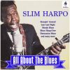 Download track Harmonica Blues