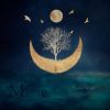 Download track Moonlit Hallways