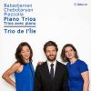 Download track Piano Trio In F-Sharp Minor: III. Allegro Vivace