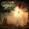 Download track Hallucinations Of Exile