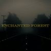 Download track Enchanted Twilight