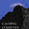 Download track Calm Current Chronicles