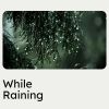 Download track Maturely Rain