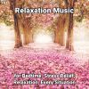 Download track Relaxation Music, Pt. 10