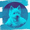 Download track Quiet Calming Your Pup