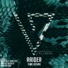 Download track Raider (Shadym & Tximeleta Remix)