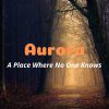 Download track A Place Where No One Knows