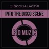 Download track Into The Disco Scene (Original Mix)